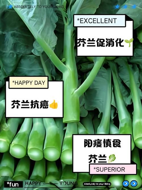 芥兰和芥蓝的区别大比拼哪个更适合你吃