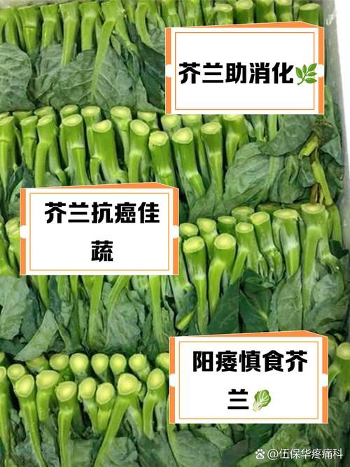 芥兰和芥蓝的区别大比拼哪个更适合你吃