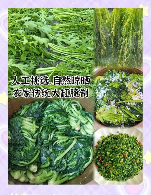 雪菜为什么叫雪里红南北方的叫法差异在这里