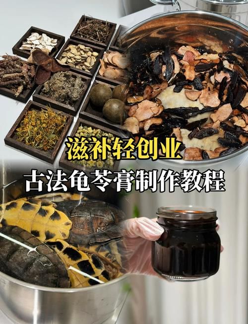 龟苓膏真的有乌龟吗 带你了解它的制作过程
