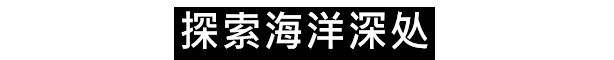 水之城|v1.510.0|官方中文|Aquatico/水族馆插图7