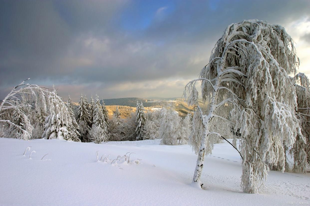 打熊车身兵力配比是多少