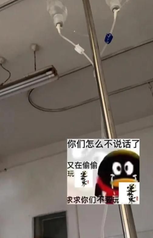 “寒P”再这么疯下去,老外都得被传染了