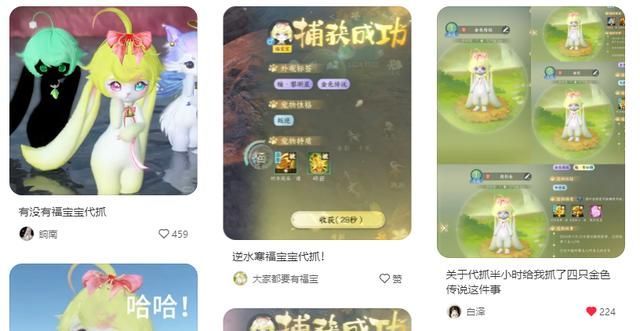 一单300，新兴职业“抓宠师”走红，抓到营养好漂亮的价格翻倍