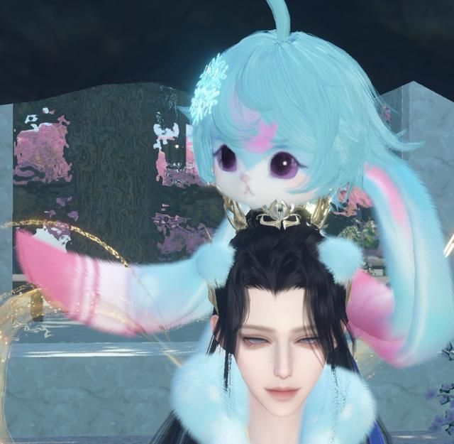 一单300，新兴职业“抓宠师”走红，抓到营养好漂亮的价格翻倍