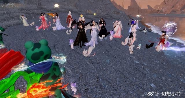 一单300，新兴职业“抓宠师”走红，抓到营养好漂亮的价格翻倍