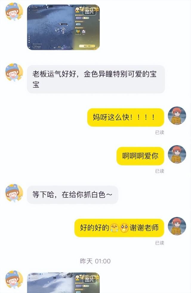 一单300，新兴职业“抓宠师”走红，抓到营养好漂亮的价格翻倍