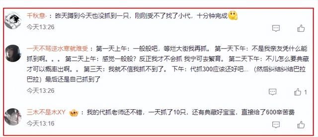 一单300，新兴职业“抓宠师”走红，抓到营养好漂亮的价格翻倍