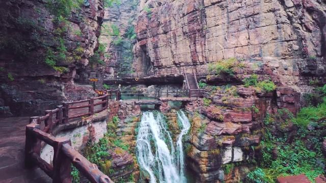 三国志14:曹操三个女儿都嫁给汉献帝,她们在游戏中能力值如何?