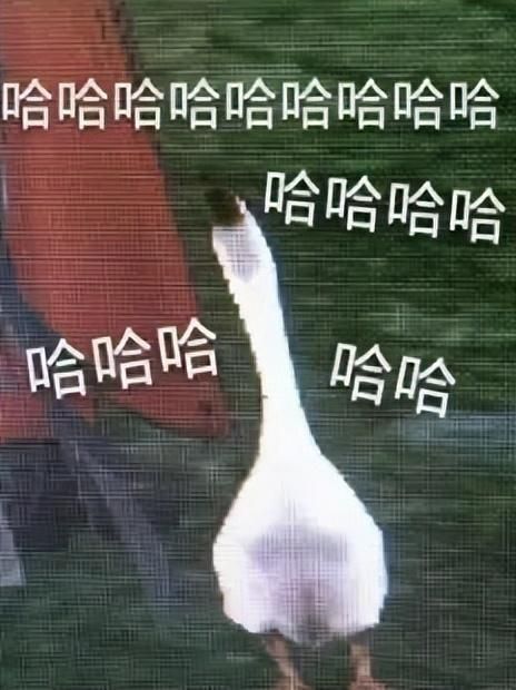 笑死!逆水寒手游800个奇葩改动,每一个都让人喷出老血