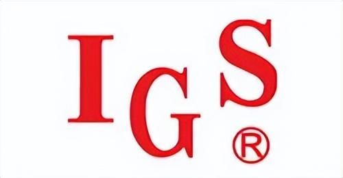 街机厅的国产游戏，IGS发行的才是玩家的最爱！