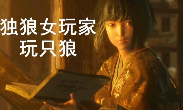 这一年，全国近千万个“独狼玩家”得到了前所未有的乐趣和尊重！