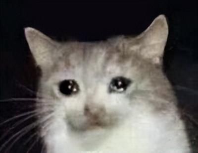 10分钟骗430万、造假的美女议员,AI诈骗终于要爆发了