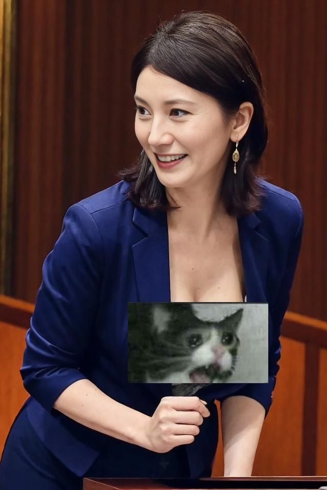 10分钟骗430万、造假的美女议员,AI诈骗终于要爆发了