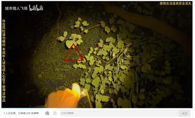 2025年了,大伙的电子榨菜怎么会是赛博“除四害”?