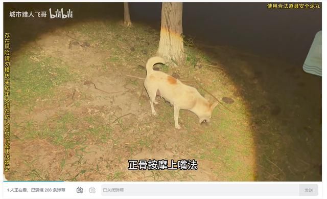 2025年了,大伙的电子榨菜怎么会是赛博“除四害”?