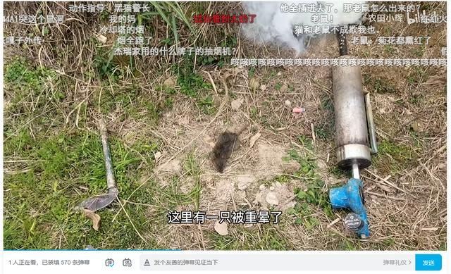 2025年了,大伙的电子榨菜怎么会是赛博“除四害”?