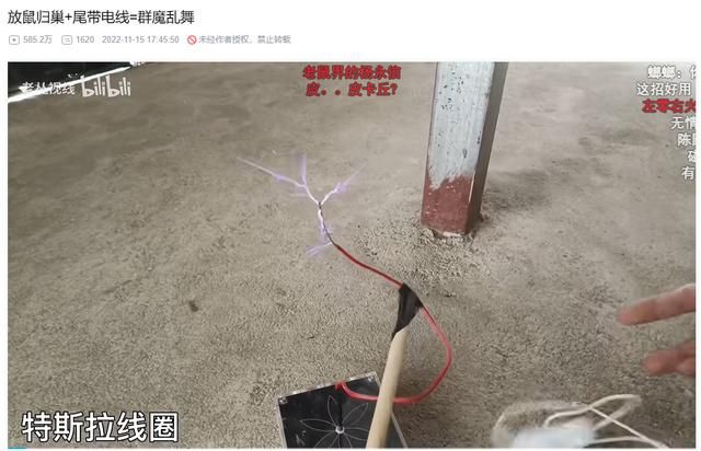 2025年了,大伙的电子榨菜怎么会是赛博“除四害”?