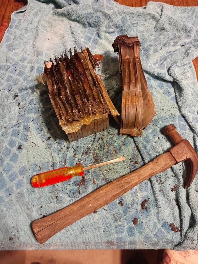 Switch卡带经历火灾后毫发无损