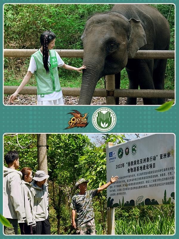 “你预约，我募捐”，《魔域》用游戏机制撬动公益杠杆