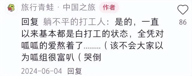 《旅行青蛙》停服危机，说好的“养老”游戏怎么突然药丸了？