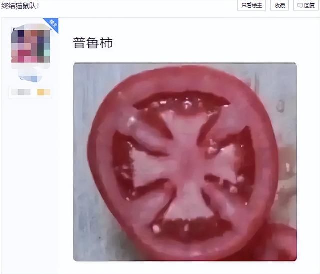 万物皆可跑的AI画图，怎么就被《猫和老鼠》给薄纱了？
