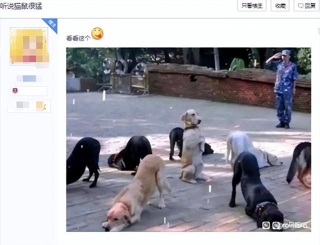 万物皆可跑的AI画图，怎么就被《猫和老鼠》给薄纱了？