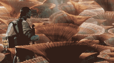 中国手游折服“西半球最强法务部”？这是我见过今年最科幻的故事