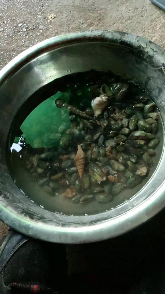 停止骑行的徐云，过上了自己的隐居生活