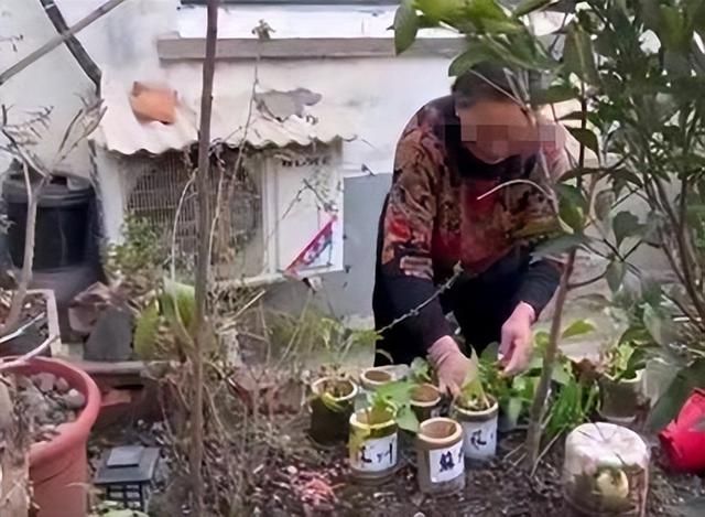 全网爆火的竹筒奶茶，买过一杯就不想再来第二杯