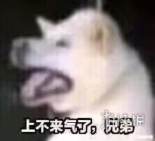 内测就有15万玩家在线殴打策划的游戏，你见过没？