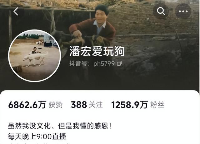 凭一己之力创立狗界缅北，他的&#34;虐&#34;狗方式为何让网友都拍手叫好？