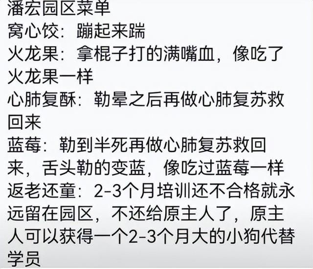 凭一己之力创立狗界缅北，他的&#34;虐&#34;狗方式为何让网友都拍手叫好？