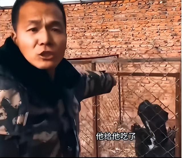 凭一己之力创立狗界缅北，他的&#34;虐&#34;狗方式为何让网友都拍手叫好？