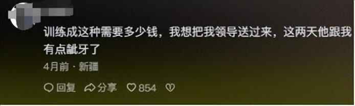 凭一己之力创立狗界缅北，他的&#34;虐&#34;狗方式为何让网友都拍手叫好？