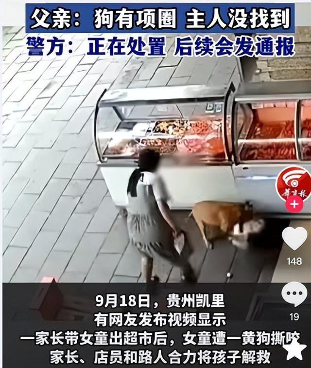 凭一己之力创立狗界缅北，他的&#34;虐&#34;狗方式为何让网友都拍手叫好？