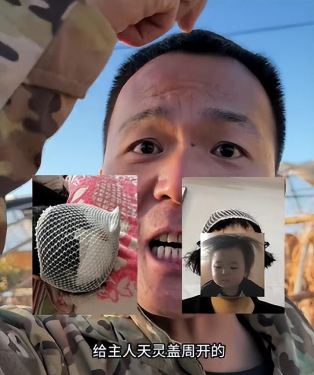 凭一己之力创立狗界缅北，他的&#34;虐&#34;狗方式为何让网友都拍手叫好？