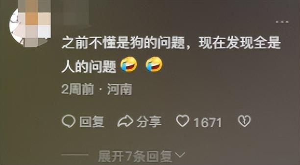 凭一己之力创立狗界缅北，他的&#34;虐&#34;狗方式为何让网友都拍手叫好？