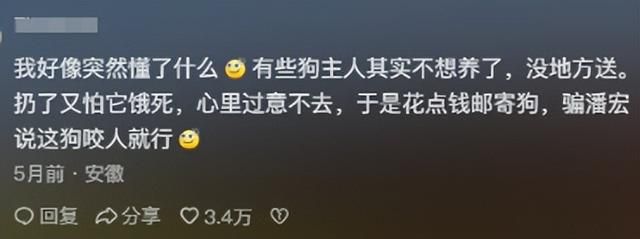 凭一己之力创立狗界缅北，他的&#34;虐&#34;狗方式为何让网友都拍手叫好？