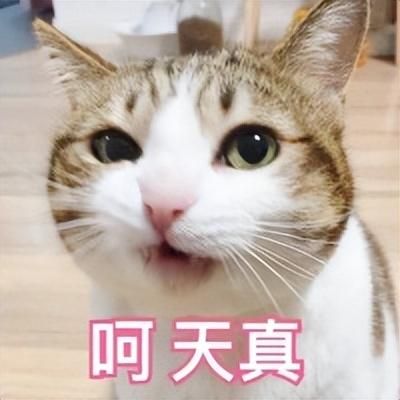 前LOL职业选手“下海”卖片，看的网友滋滋流鼻血……