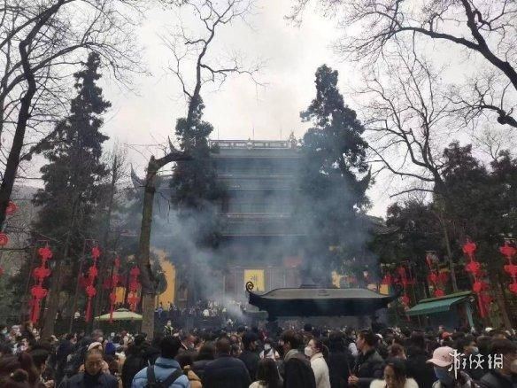 动物表情包，当代发疯网友最好的安慰剂