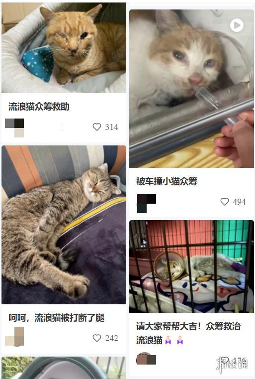 动物表情包，当代发疯网友最好的安慰剂