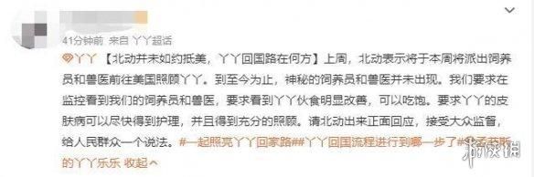 动物表情包，当代发疯网友最好的安慰剂