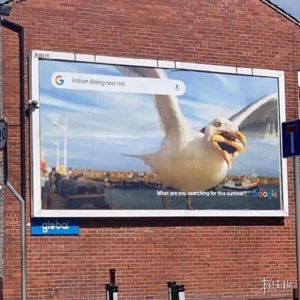 动物表情包，当代发疯网友最好的安慰剂