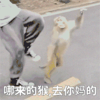 动物表情包，当代发疯网友最好的安慰剂