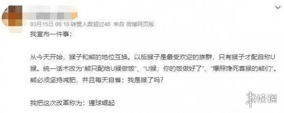 动物表情包，当代发疯网友最好的安慰剂