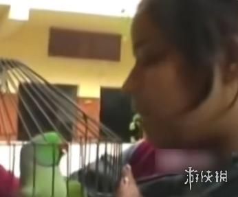 印度一桩九年前的杀人案，因为一只神探鹦鹉重见天日