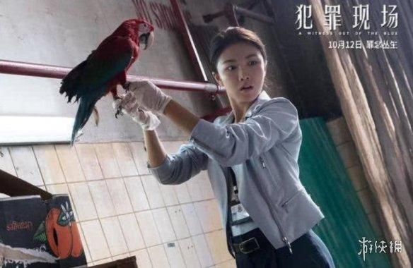 印度一桩九年前的杀人案，因为一只神探鹦鹉重见天日