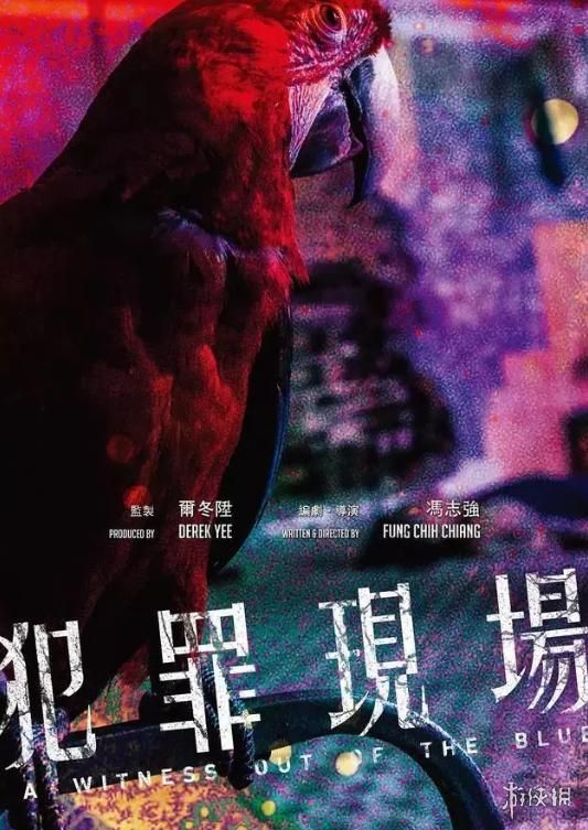 印度一桩九年前的杀人案，因为一只神探鹦鹉重见天日