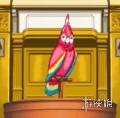 印度一桩九年前的杀人案，因为一只神探鹦鹉重见天日